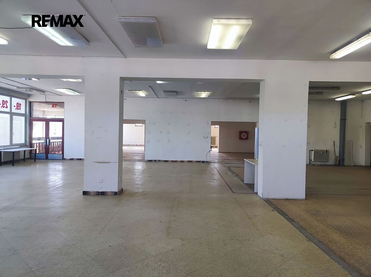 Pronájem obchodního prostoru 556 m² – fotografie 3