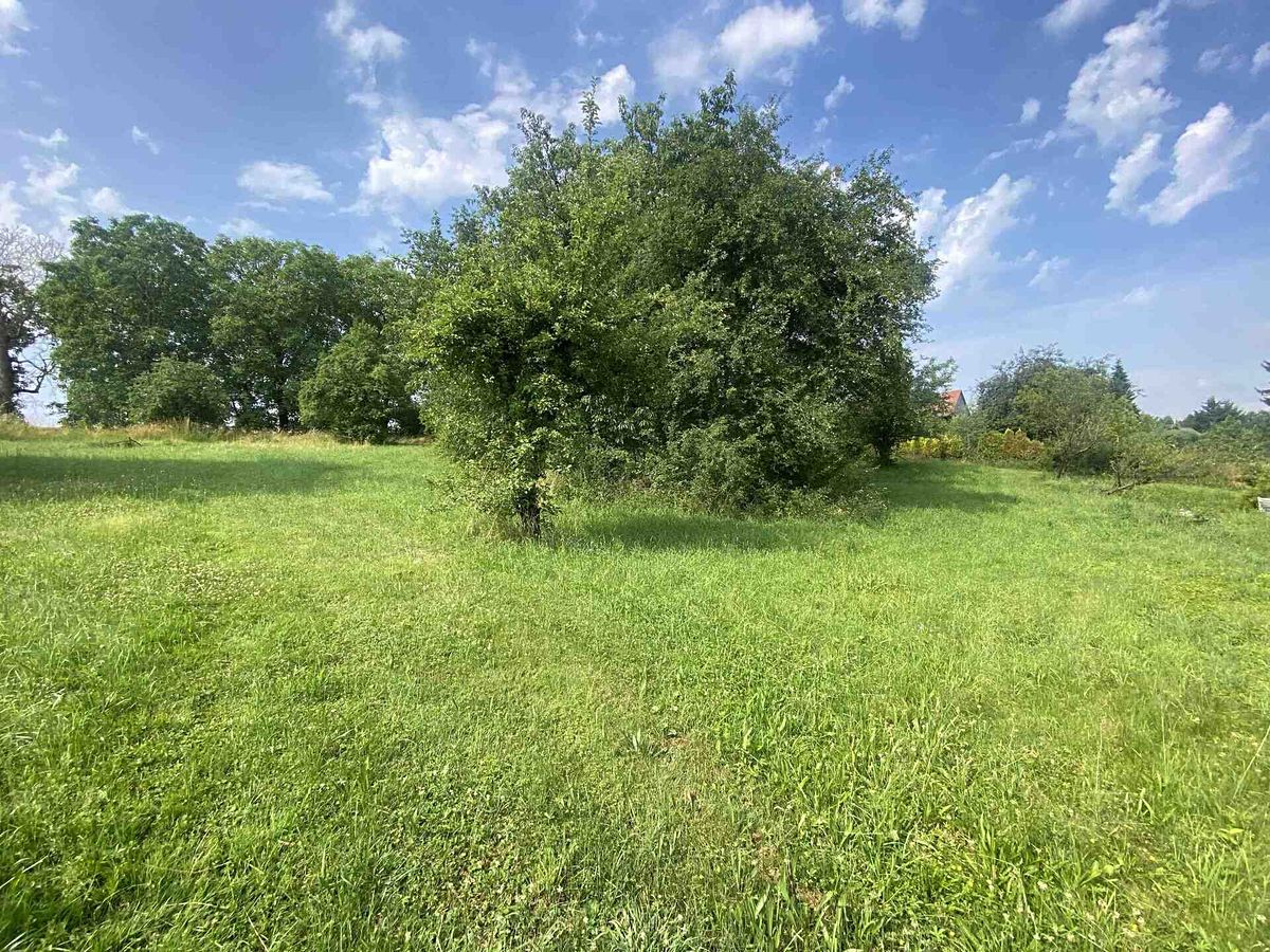 Prodej stavebního pozemku 2458 m² – fotografie 2