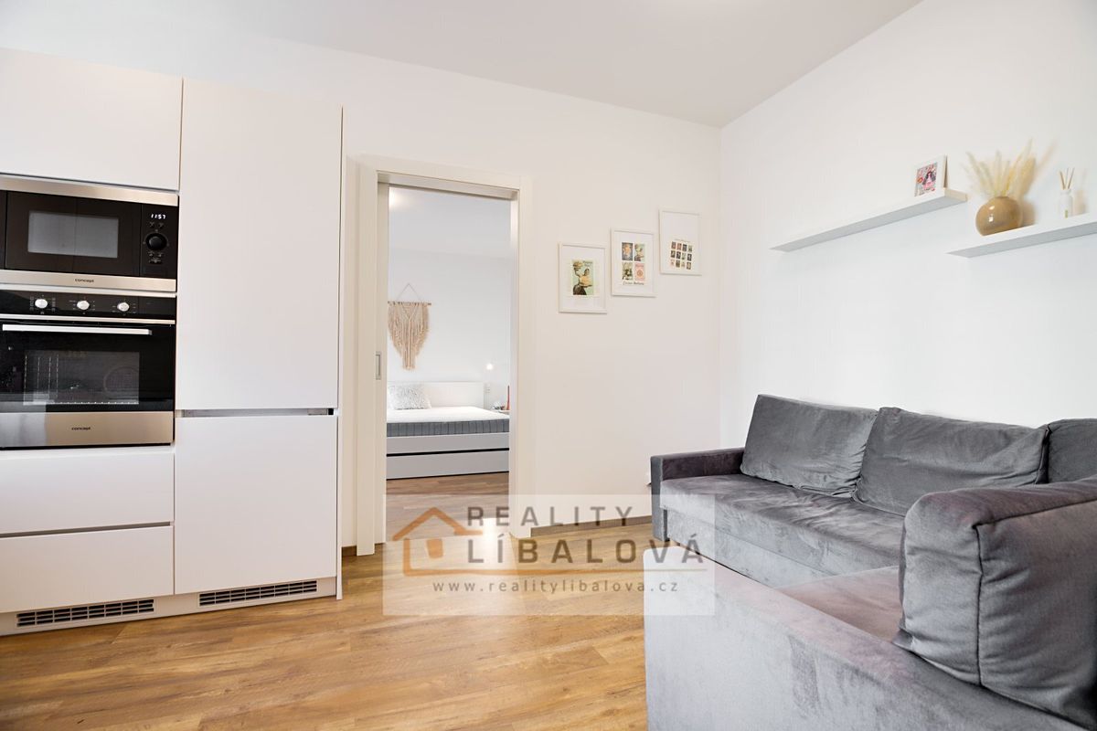 Pronájem bytu 1+1 40 m²