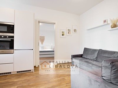 Pronájem bytu 1+1 40 m²