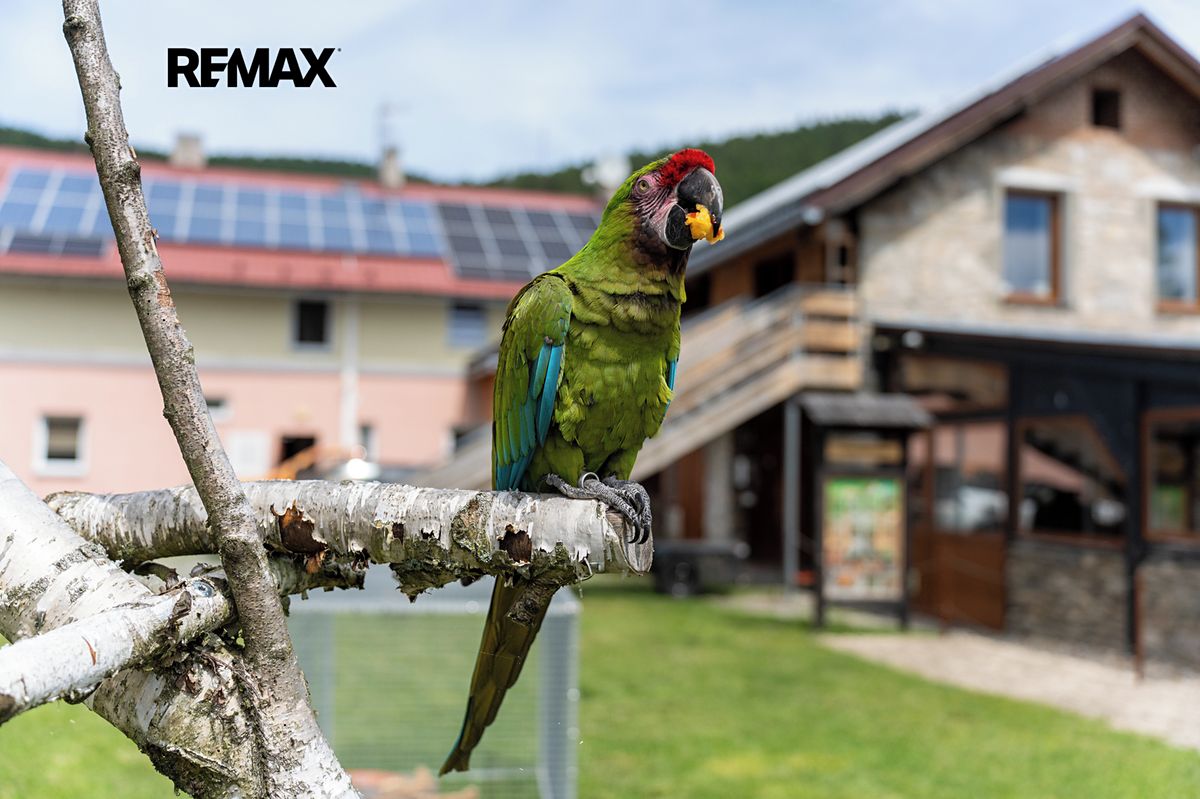 Prodej zemědělské usedlosti 871 m², pozemek 7301 m² – fotografie 2