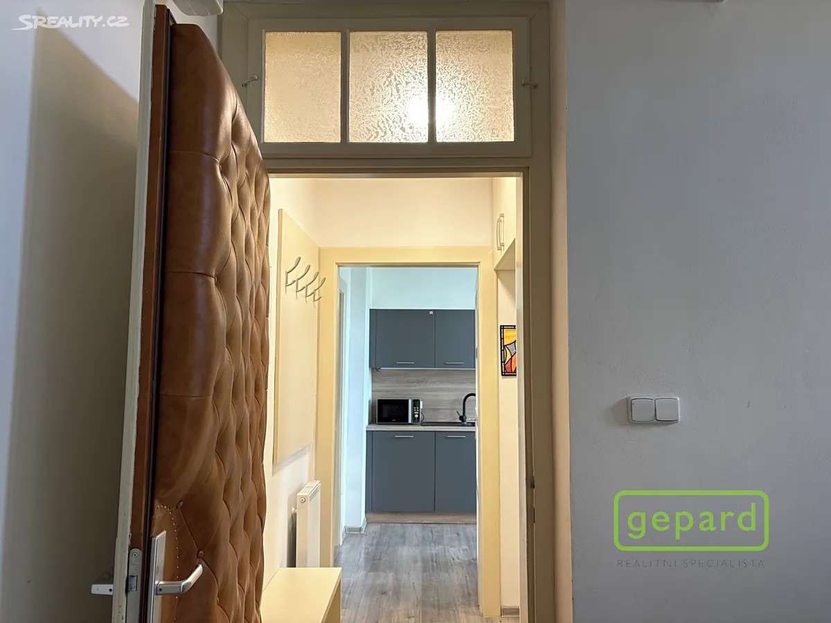 Pronájem bytu 2+1 60 m² - Widok 3