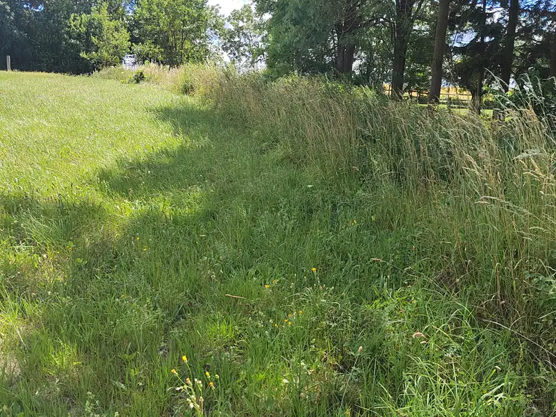 Prodej stavebního pozemku 1350 m², Líšťany – náhled fotky 3