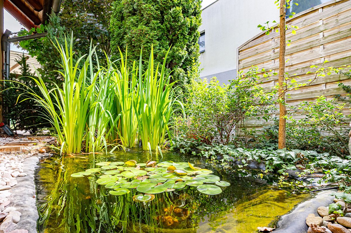 Prodej rodinného domu 170 m², pozemek 560 m² – fotografie 2