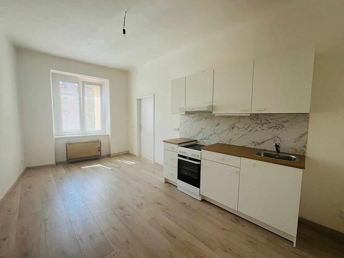 Pronájem bytu 1+1 55 m²