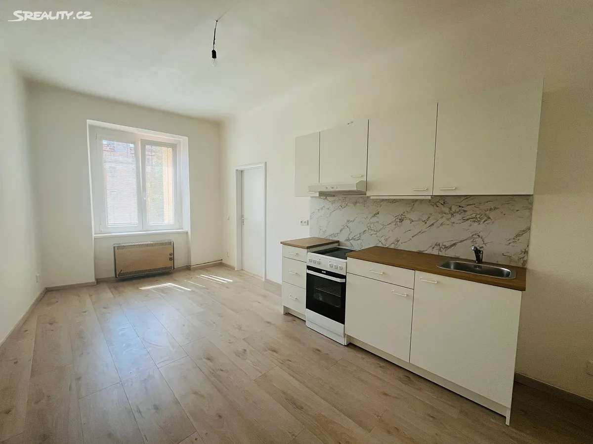 Pronájem bytu 1+1 55 m², Praha