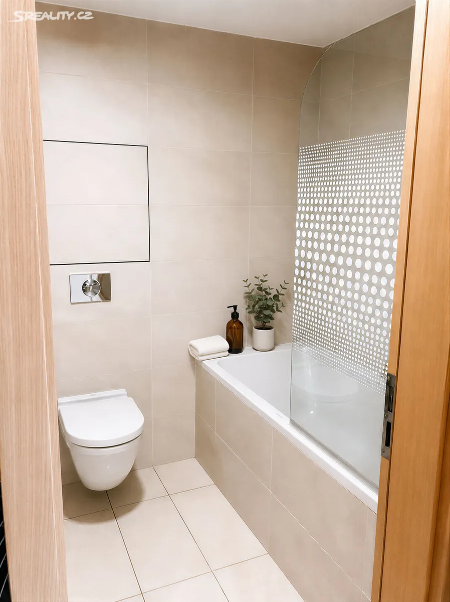 Pronájem bytu 1+kk 45 m² – pohled 3