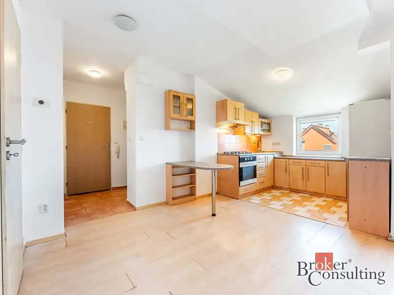 Prodej bytu 2+kk 56 m², Brno – náhled fotky 3
