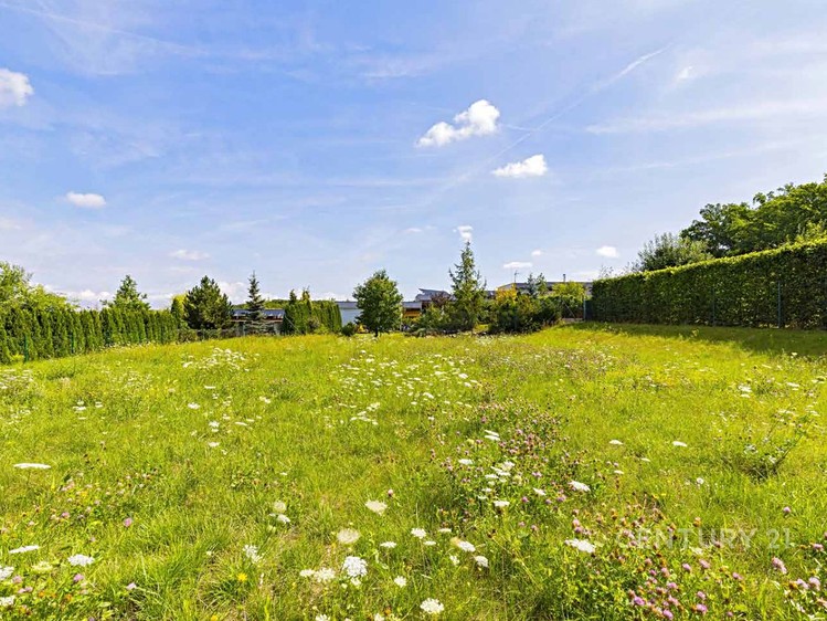 Grundstück zum Kauf, 800 m² (4 von 10)