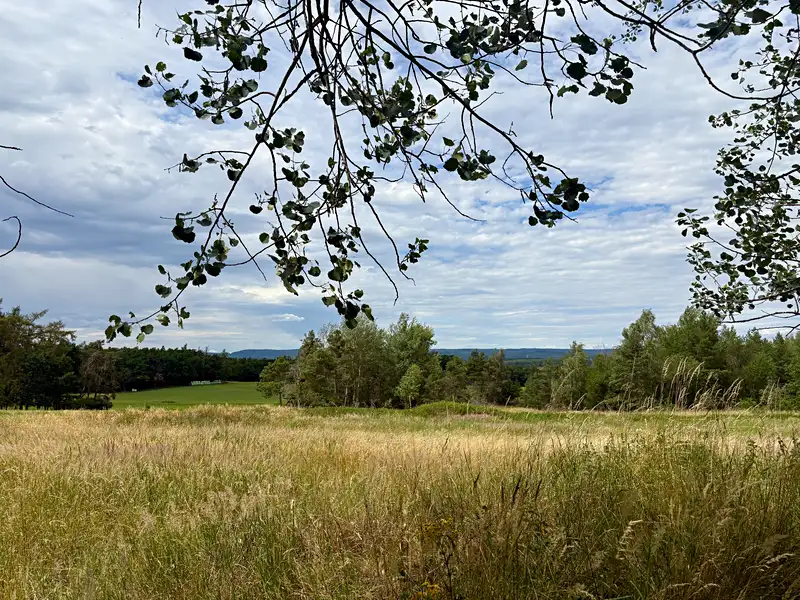 Prodej louky 16399 m², Rybníky – náhled fotky 3