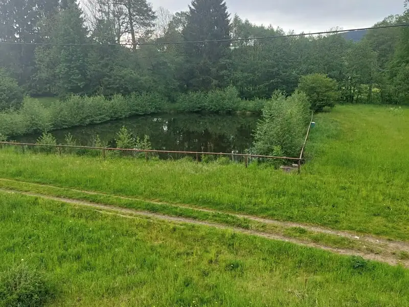 Prodej apartmánů 520 m², Písařov – náhled fotky 2