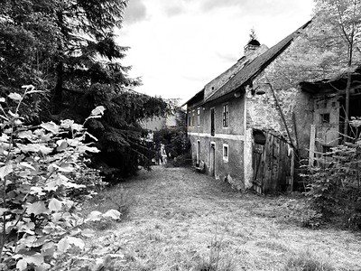 Prodej pozemku, 3 560 m² (3 z 8)