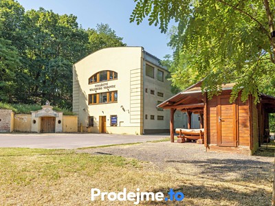 Prodej vinného sklepa 1 000 m²
