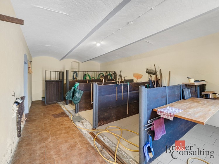 Prodej komerčního prostoru, 450 m² (51 z 54)