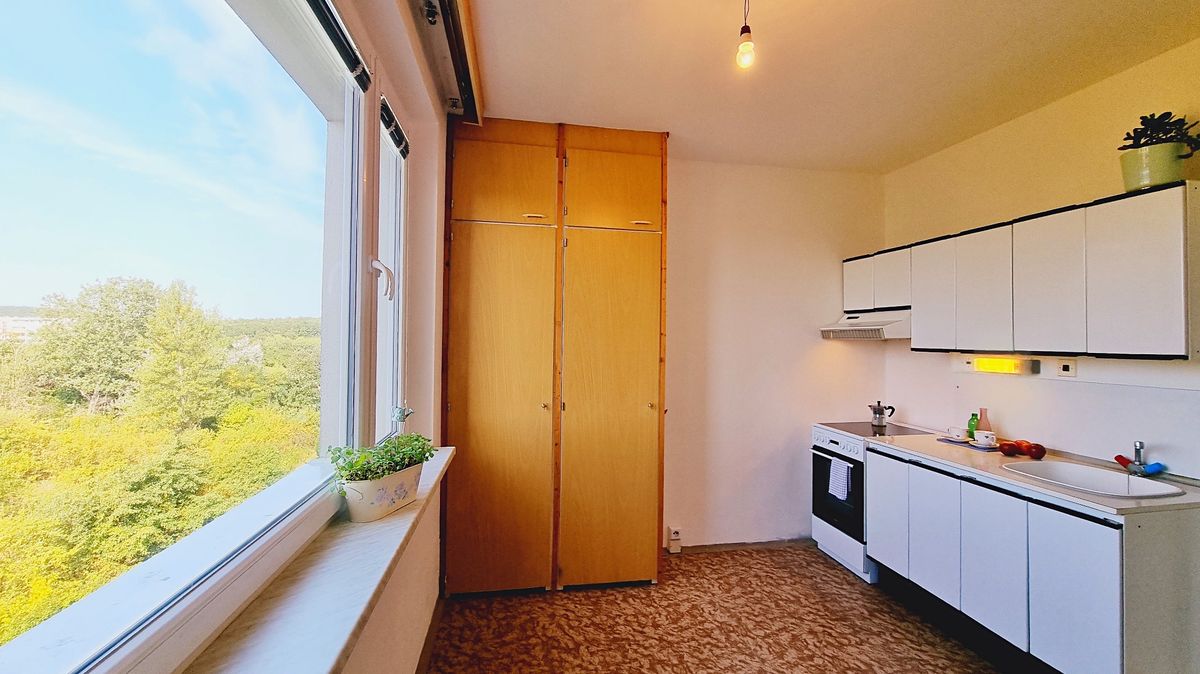 Pronájem bytu 1+1 39 m²