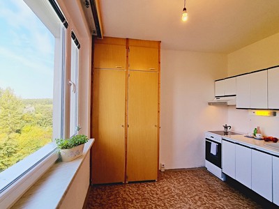 Pronájem bytu 1+1 39 m²