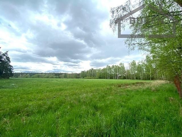 Prodej pole 10813 m² – fotografie 2