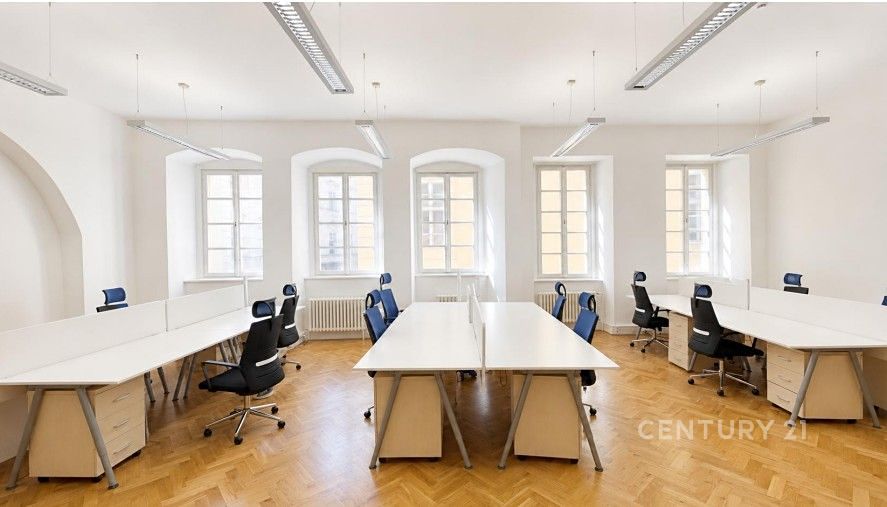 Pronájem kanceláře 250 m² – fotografie 2