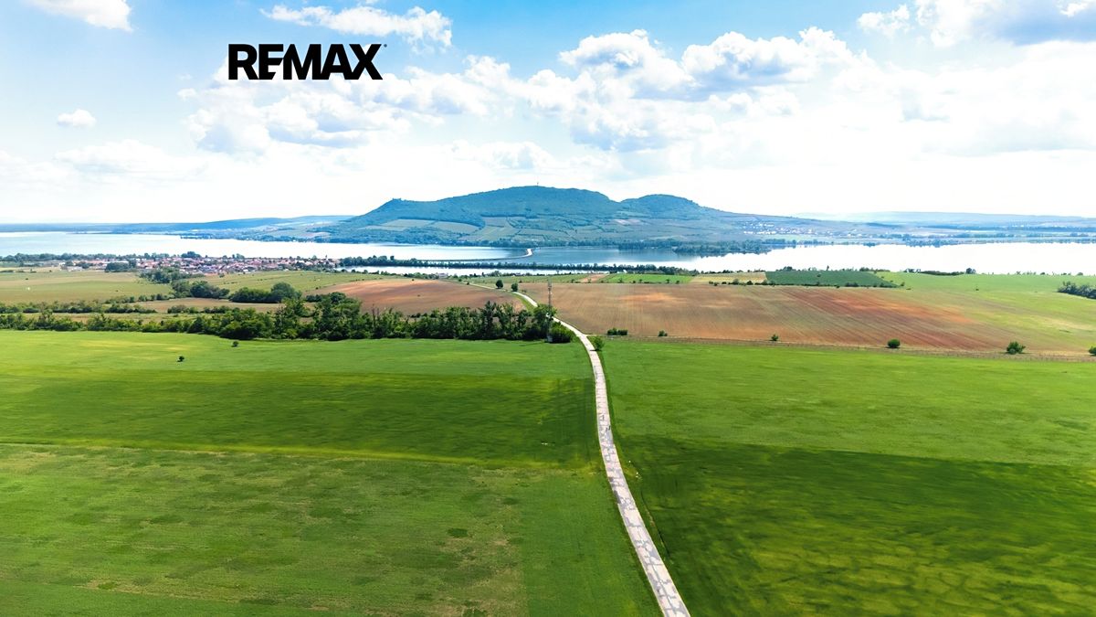 Prodej pole 31358 m²