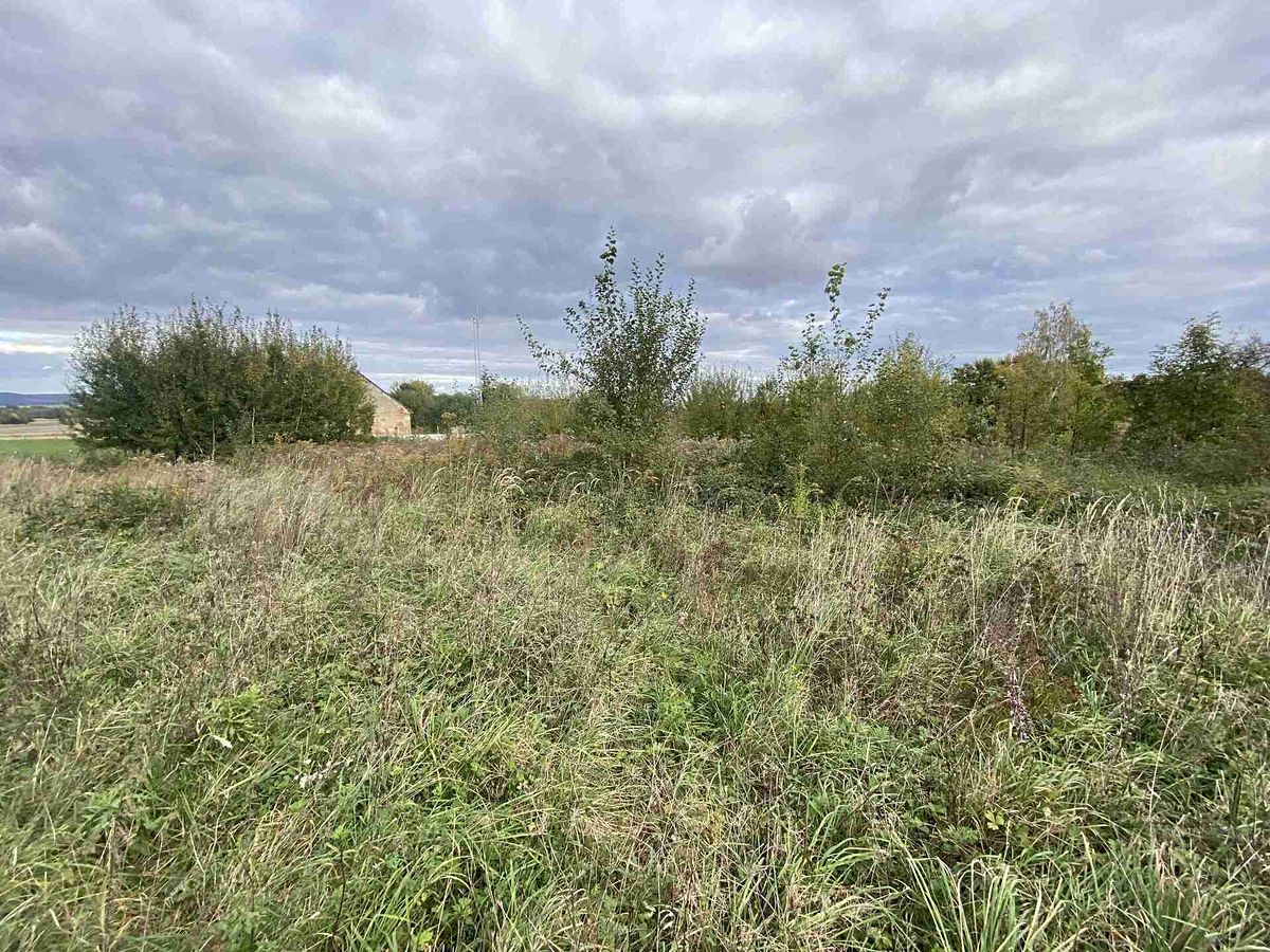 Prodej stavebního pozemku 1651 m² – fotografie 2