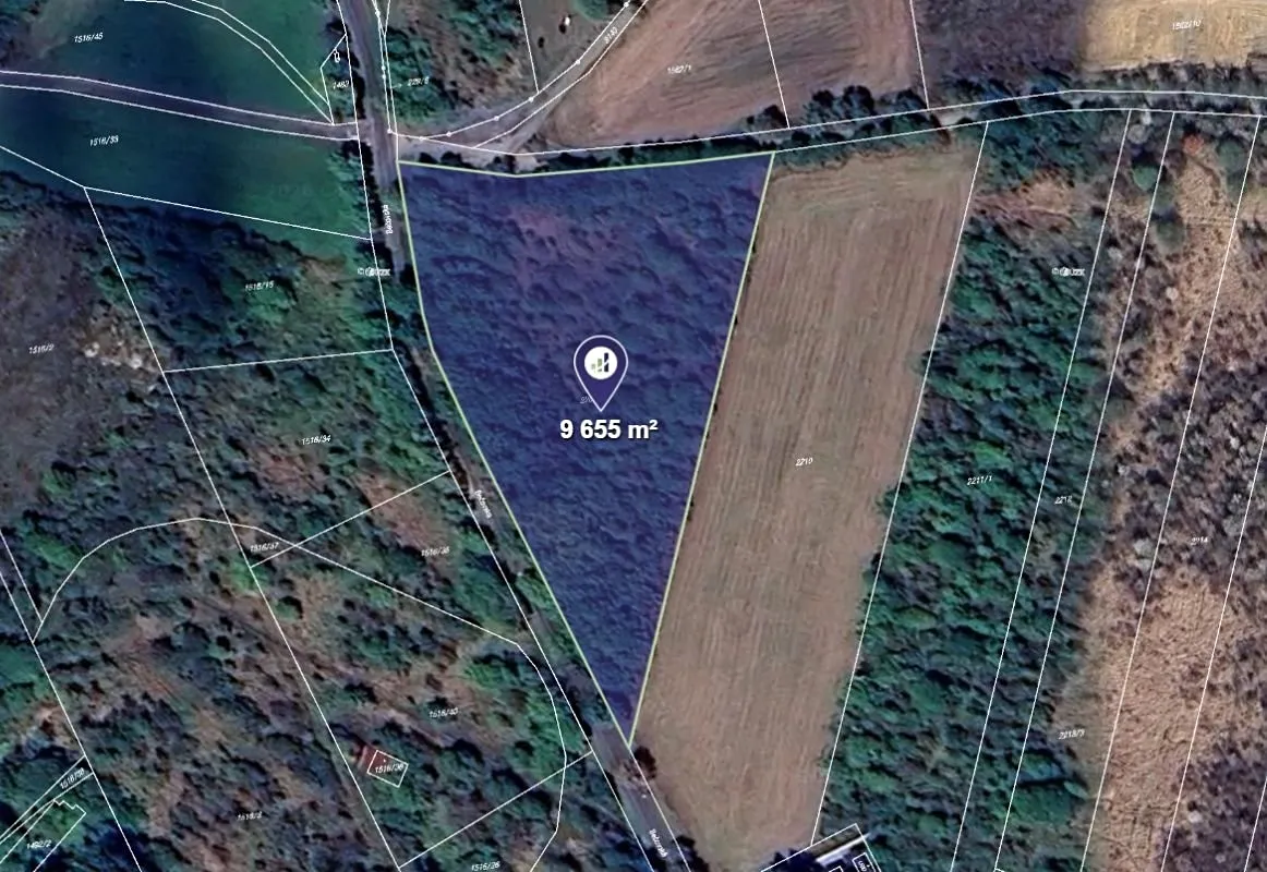 Prodej pole 9655 m²