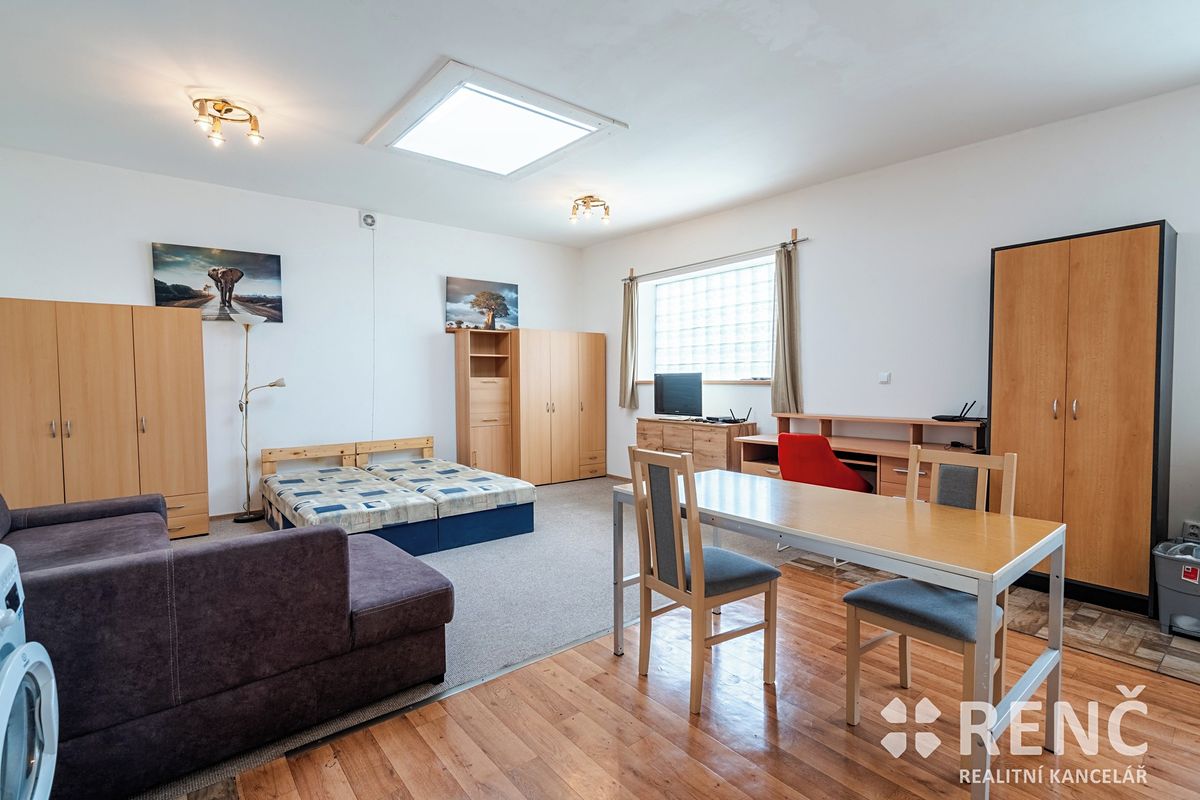 Pronájem bytu 1+kk 42 m²