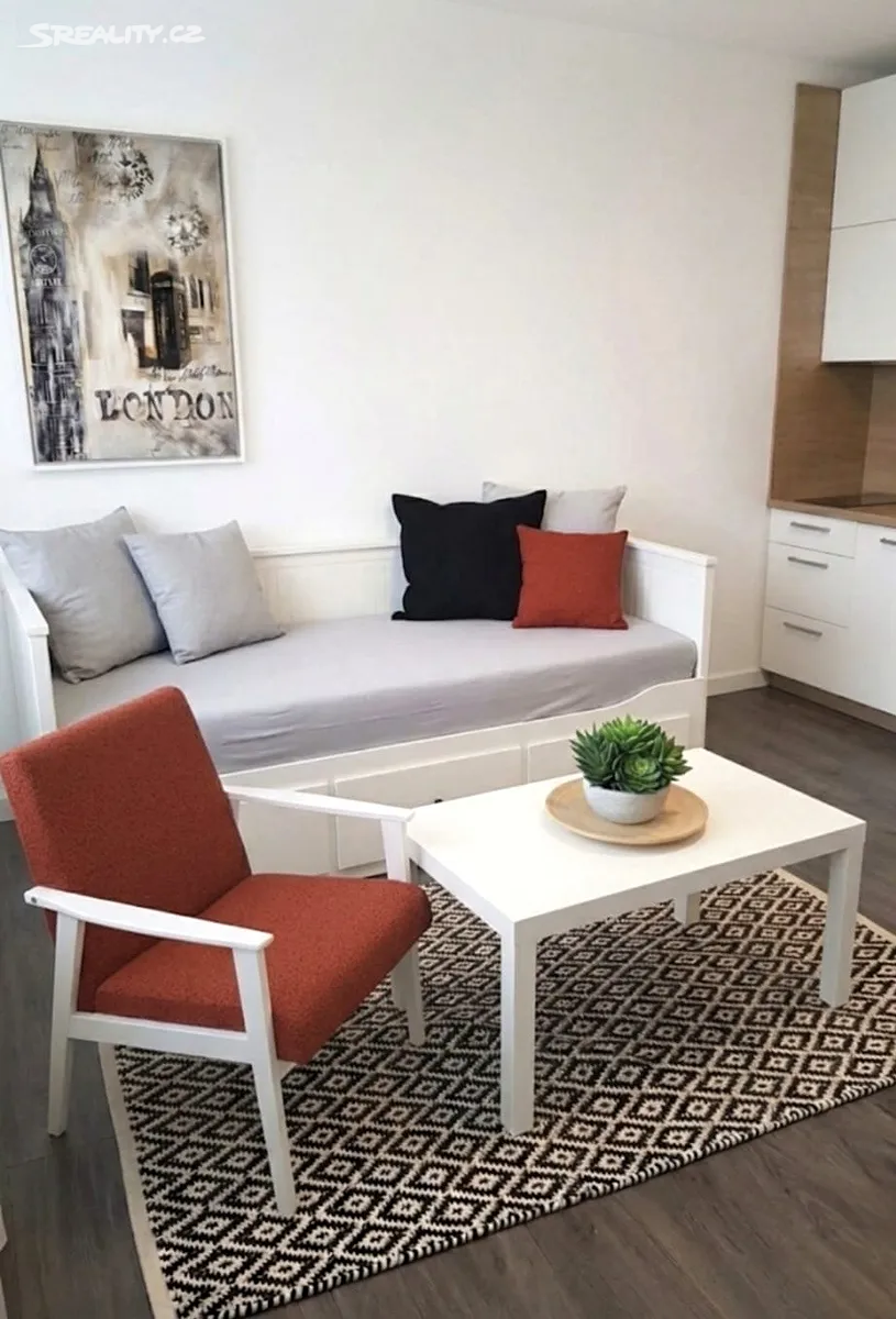 Pronájem bytu 1+kk 26 m² – pohled 5