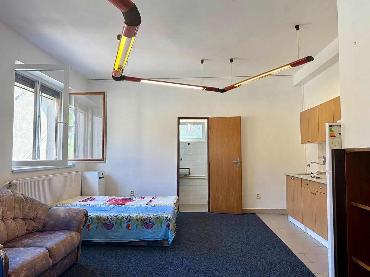 Pronájem bytu 1+kk 40 m² – fotografie 3