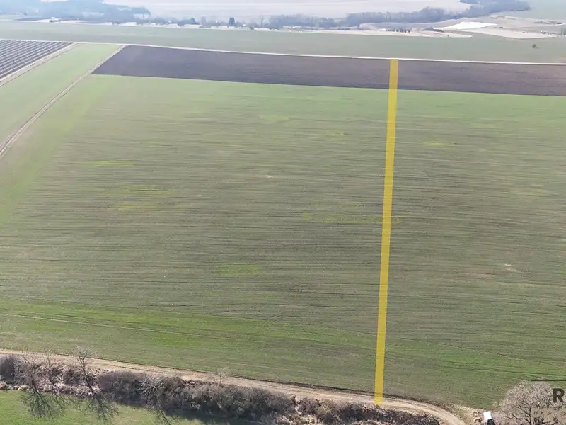 Prodej pole 10332 m², Petrov – náhled fotky 3