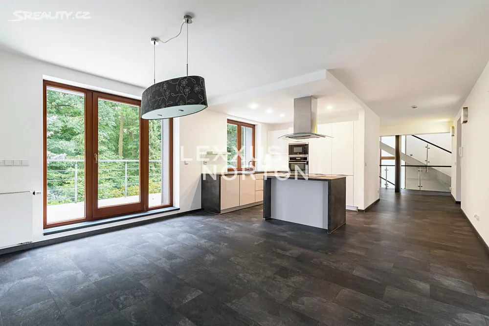 Pronájem rodinného domu 354 m², pozemek 850 m² - View 2
