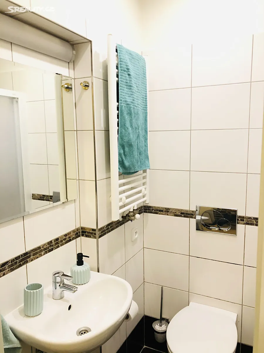 Pronájem bytu 1+kk 27 m² – pohled 3