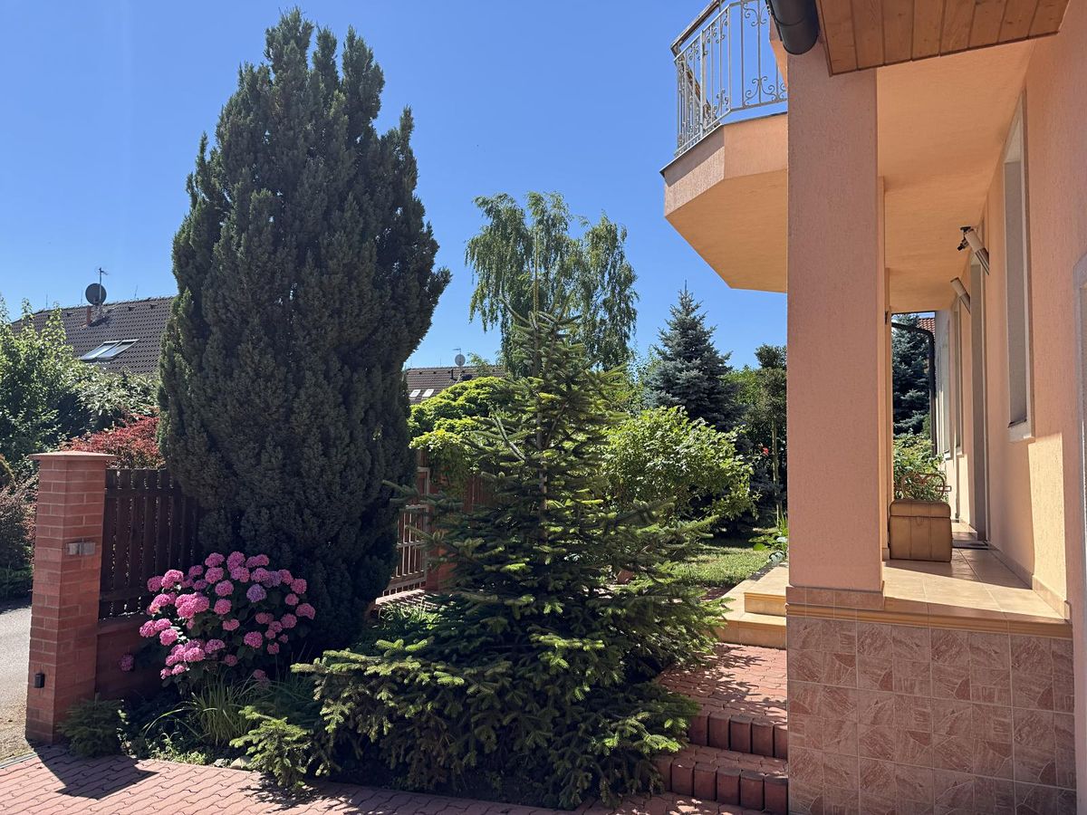 Prodej rodinného domu 301 m², pozemek 803 m² – fotografie 5