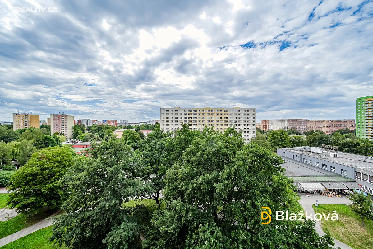 Pronájem bytu 2+1 53 m² – pohled 6