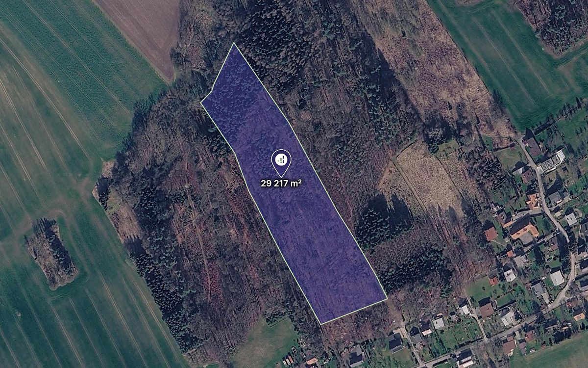 Prodej lesa 29217 m²