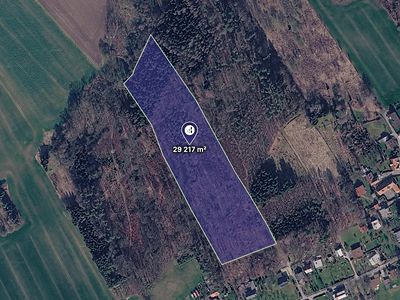 Prodej lesa 29217 m²
