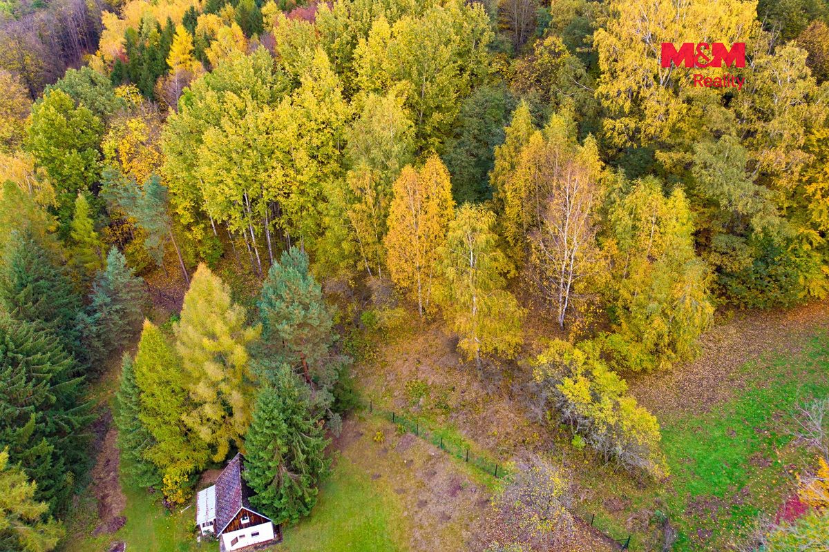 Prodej lesa 3004 m² – fotografie 2