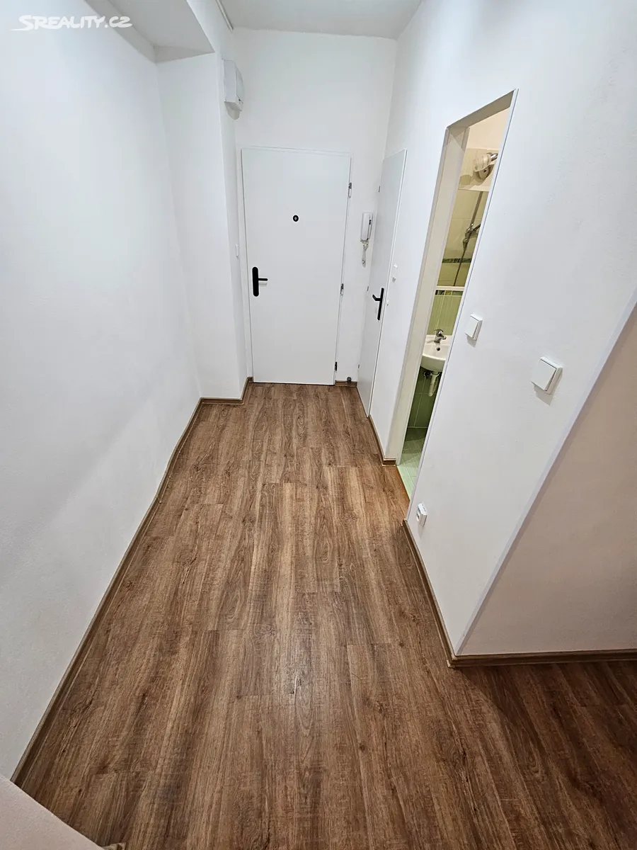Pronájem bytu 3+1 67 m² - Widok 4