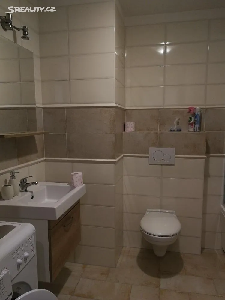 Pronájem bytu 2+kk 47 m² - Widok 6