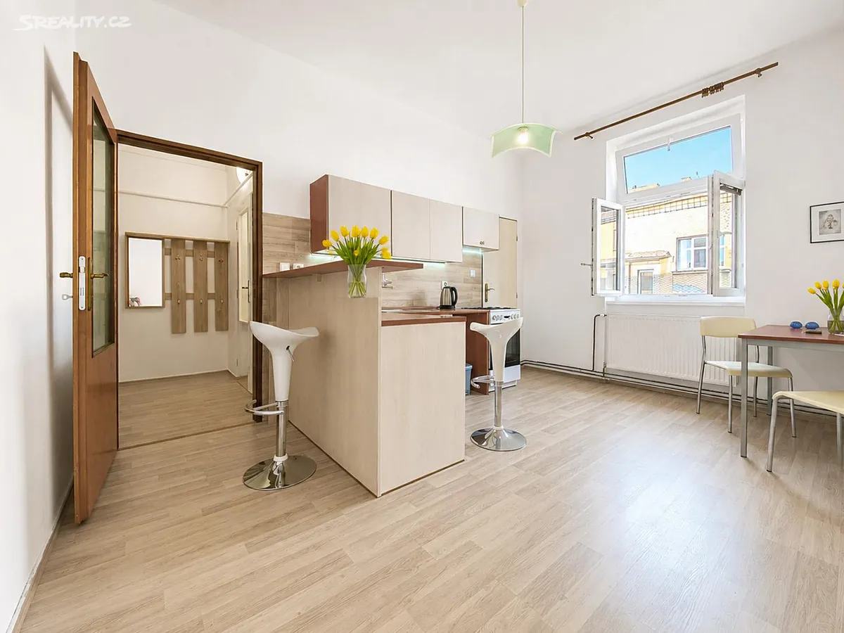 Pronájem bytu 1+1 48 m², České Budějovice
