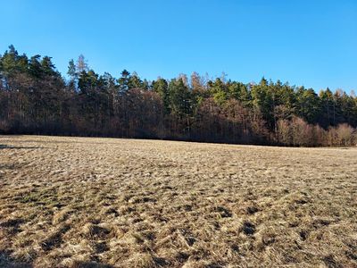 Prodej pole 4875 m²