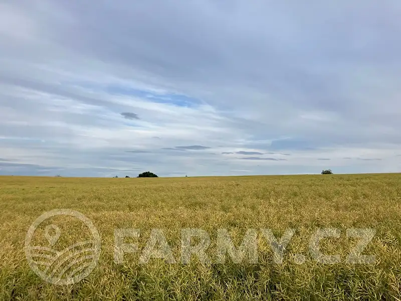 Prodej pole 71148 m², Cerekvička-Rosice – náhled fotky 3