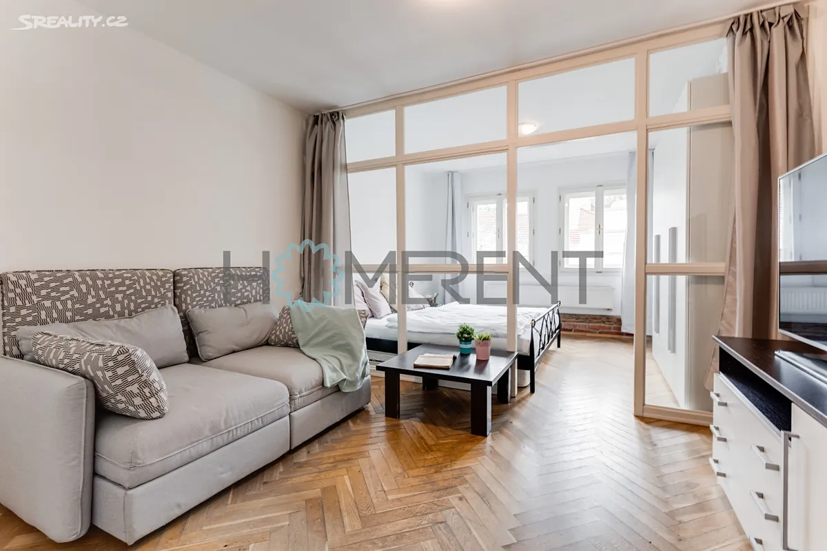 Pronájem bytu 1+1 45 m², Praha