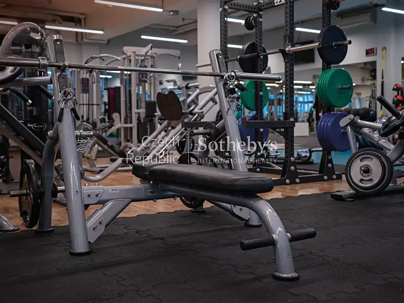 Prodej obchodního prostoru 1352 m², Praha – náhled fotky 3