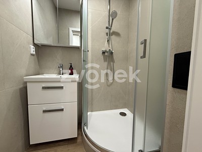 Pronájem bytu 2+1 56 m²