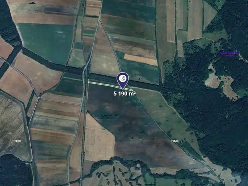 Prodej pole 5190 m², Javorník – náhled fotky 2