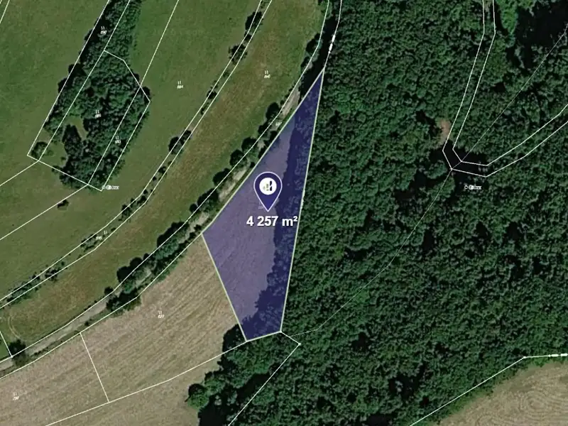 Prodej louky 4257 m², Bousín – náhled fotky 1