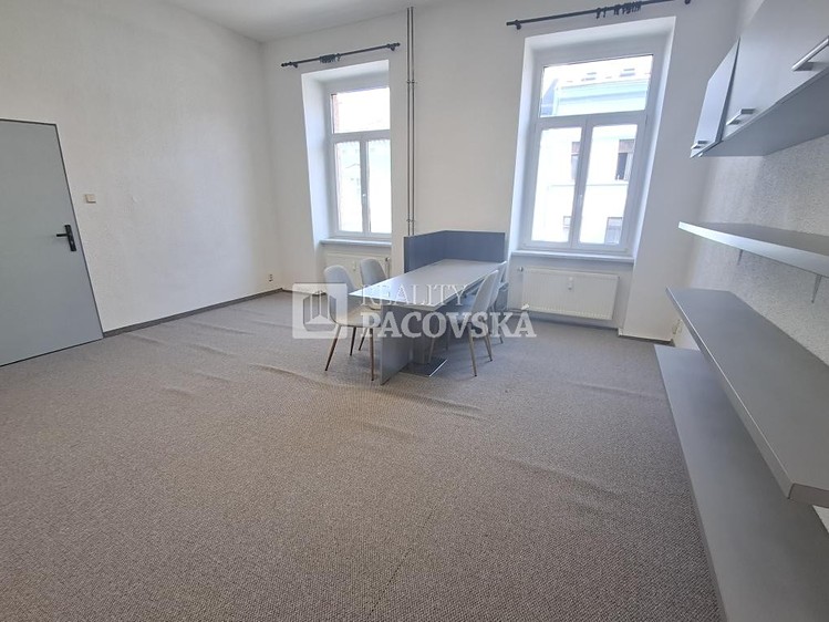 Pronájem komerčního prostoru, 118 m² (18 z 21)
