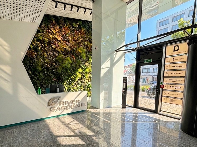 Gewerbefläche zur Miete, 440 m² (3 von 12)