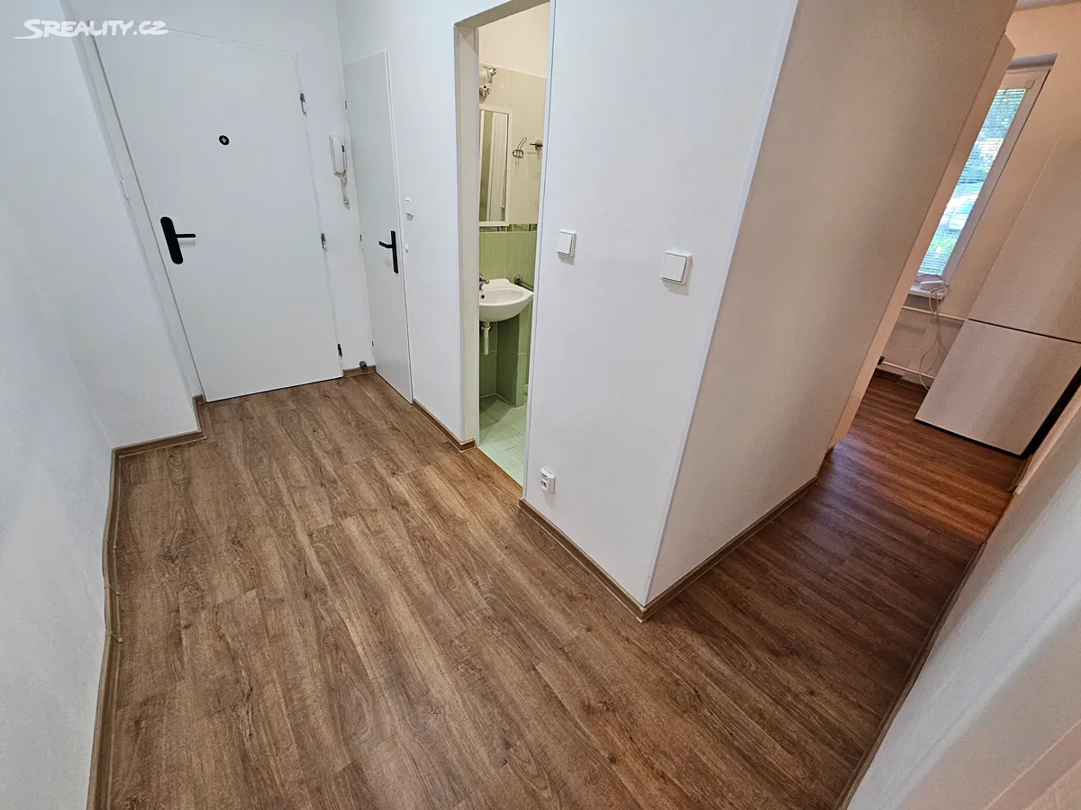 Pronájem bytu 3+1 67 m² - Widok 5