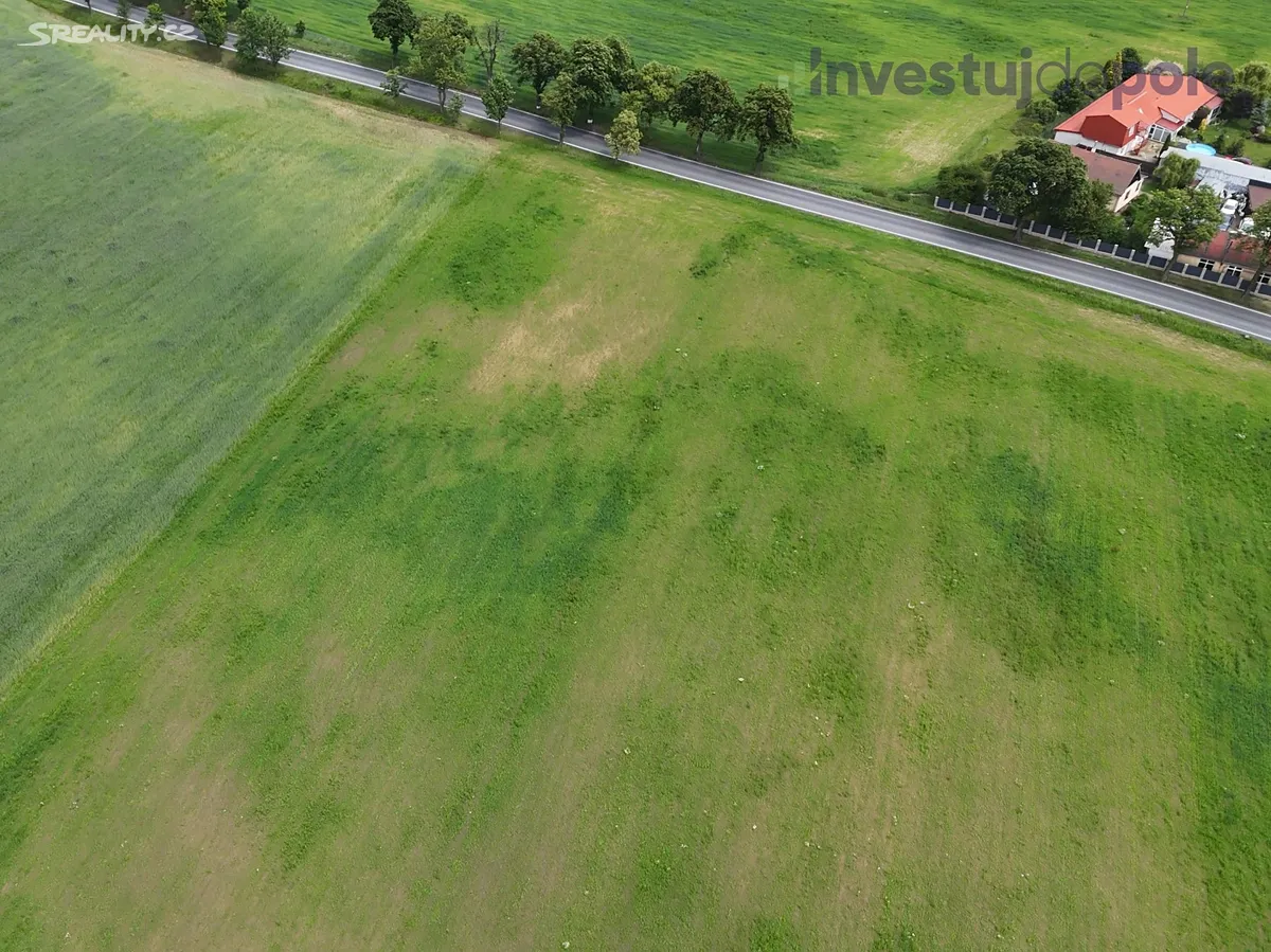 Prodej pole 74010 m² - Widok 5